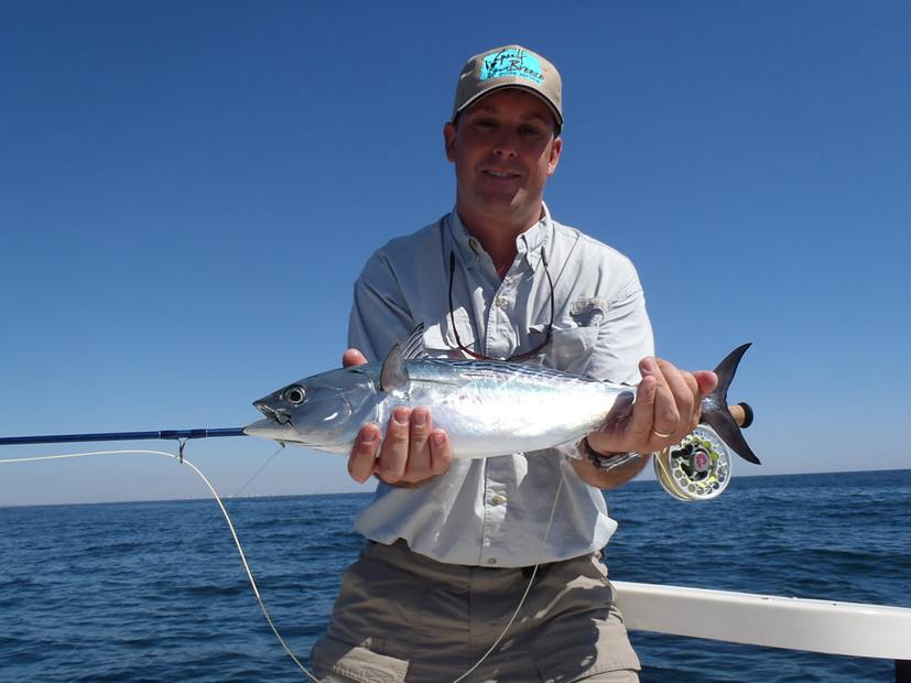 A pompano held out over the gunwale