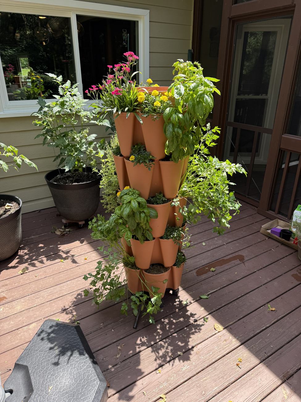 The stacked planter tower on the back deck, every tier planted with basil, herbs and flowers